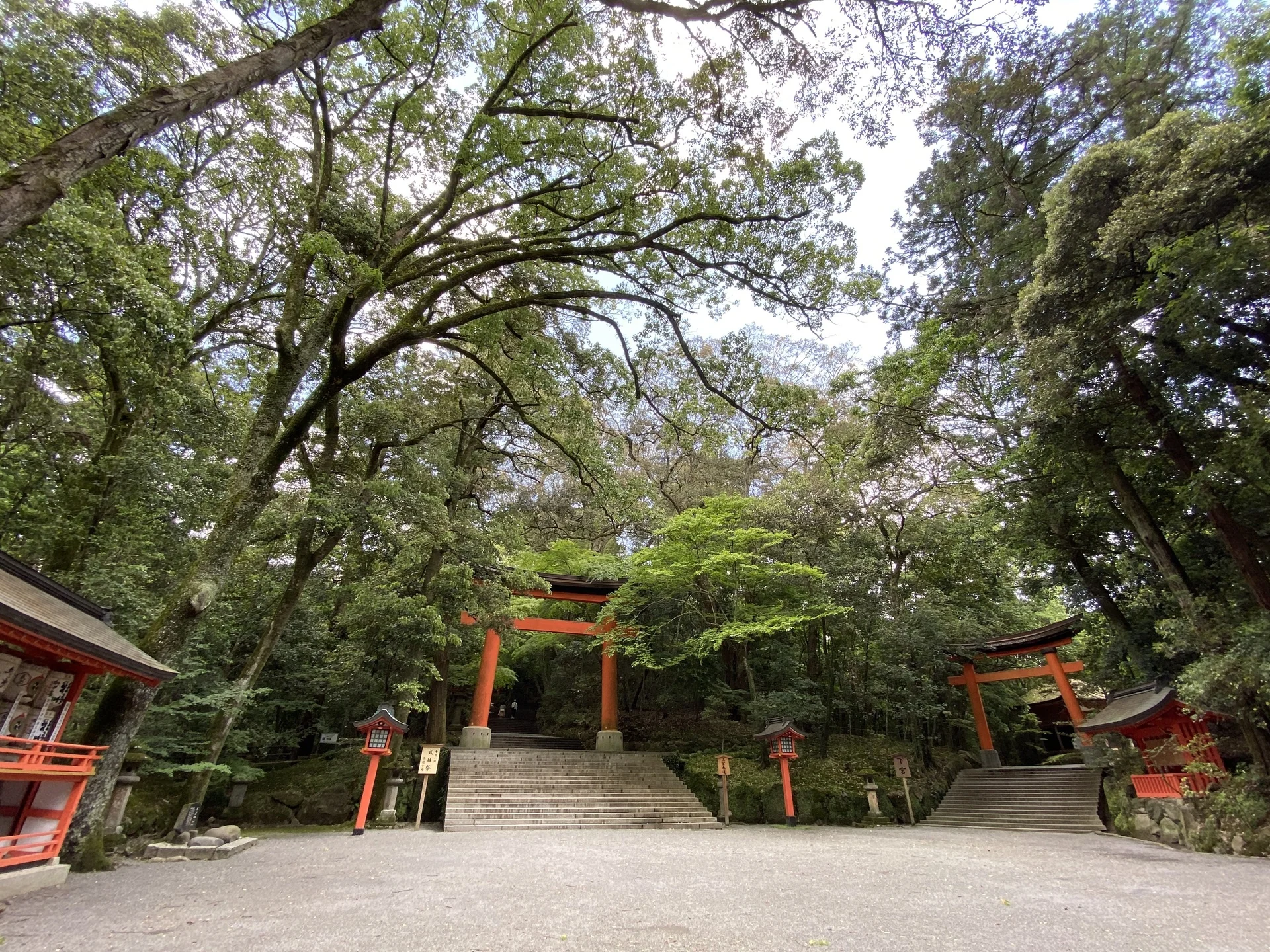 大分県宇佐市・宇佐神宮の宇佐神宮の参道・鳥居