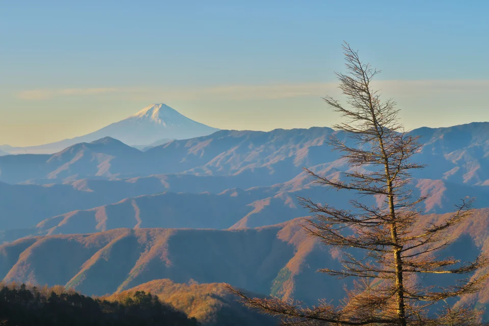 雲取山から富士山