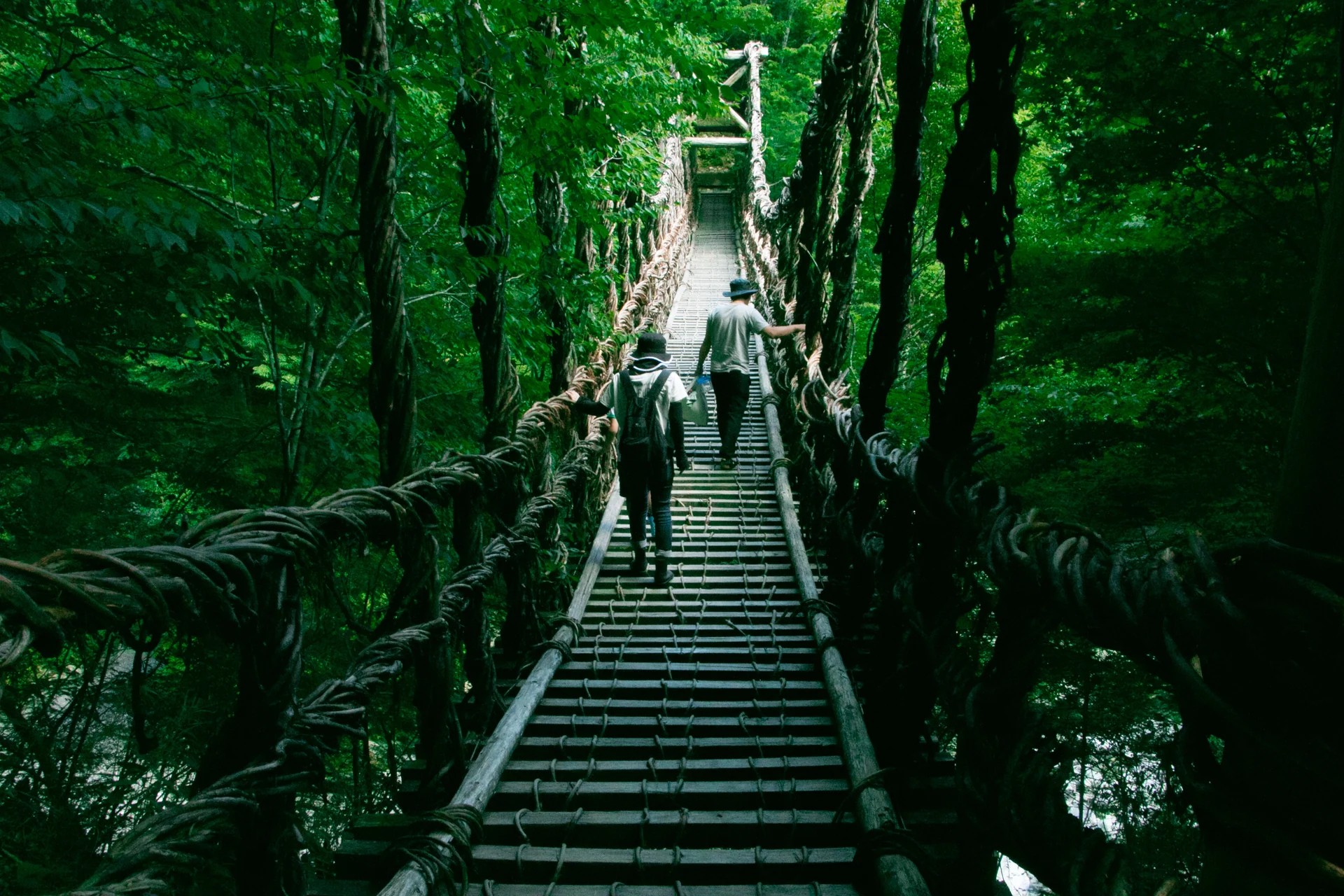 徳島県三好市・祖谷のかずら橋の祖谷の吊り橋（徳島県祖谷渓）