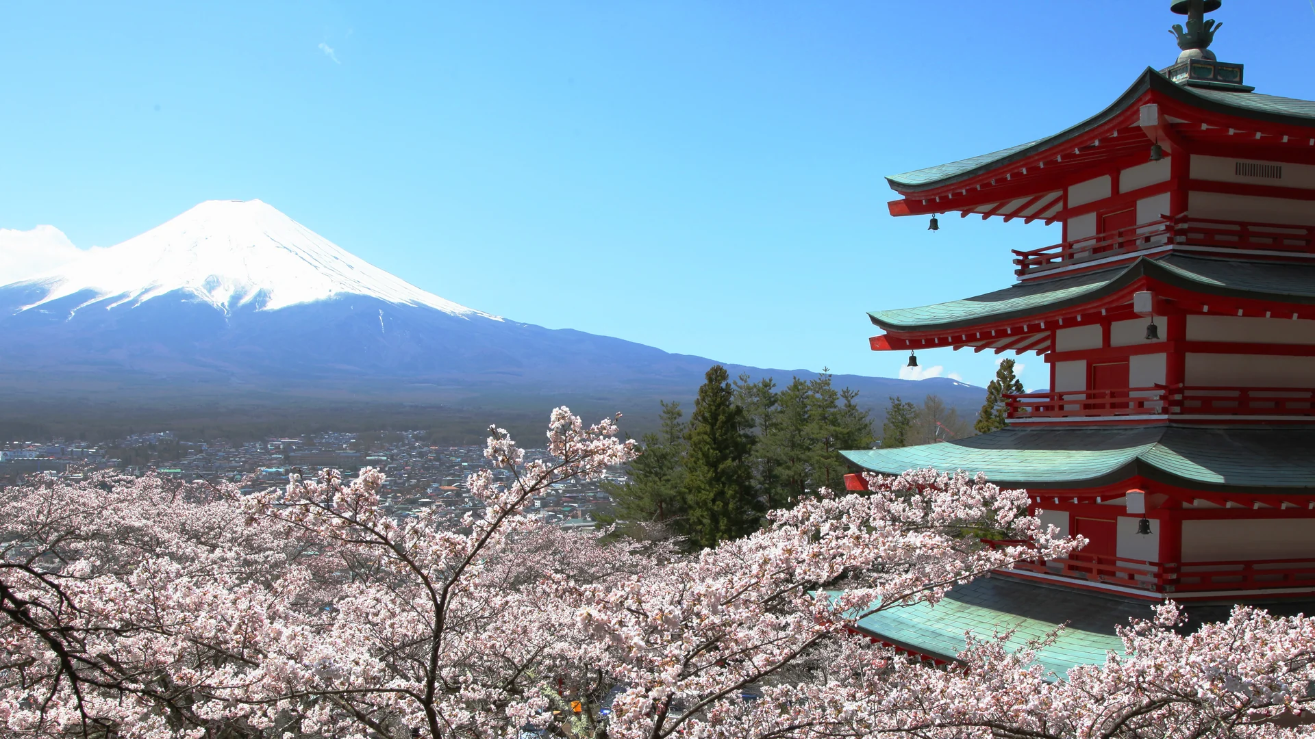 新倉山浅間公園(忠霊塔)