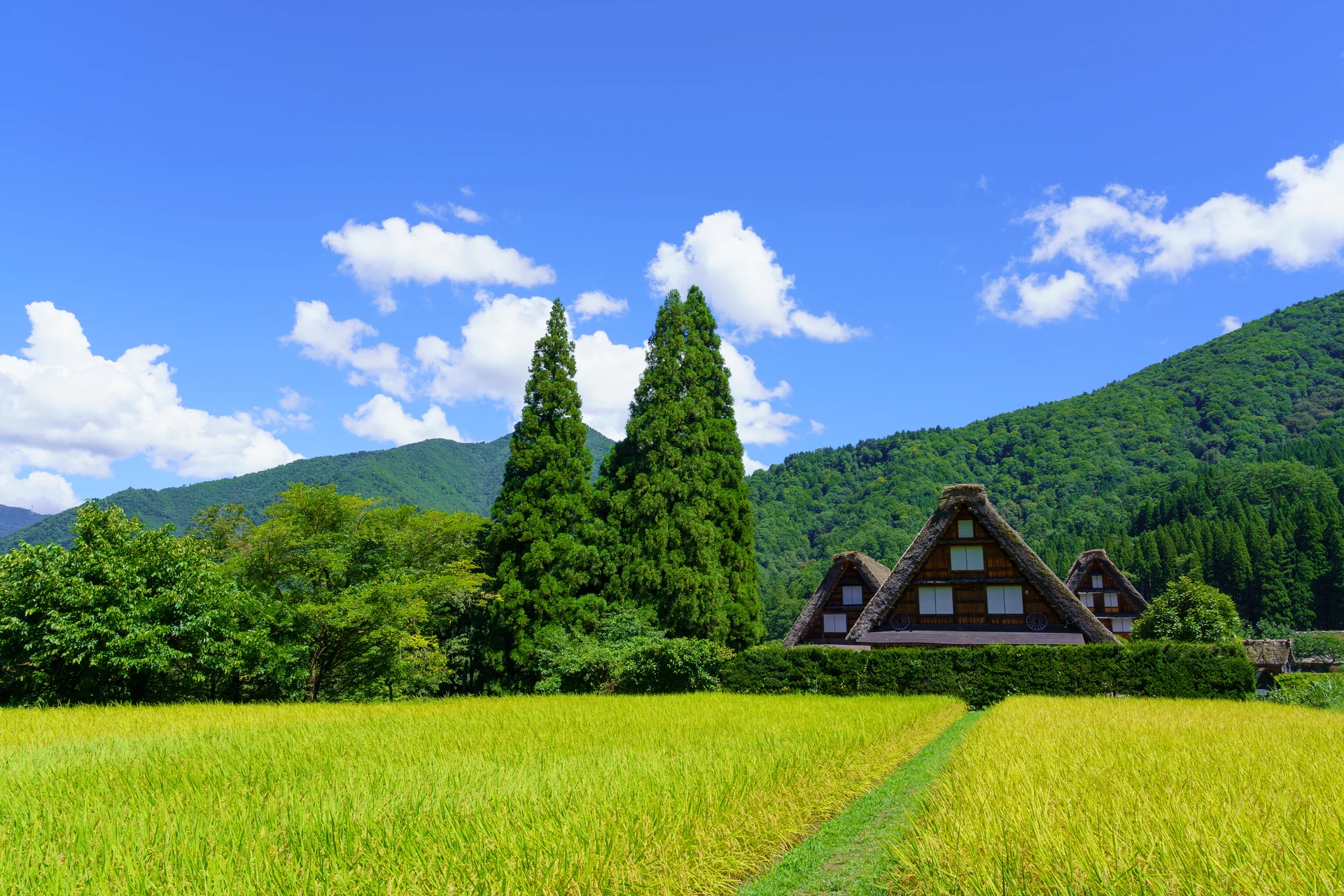 白川郷(三つ子の合掌造り)