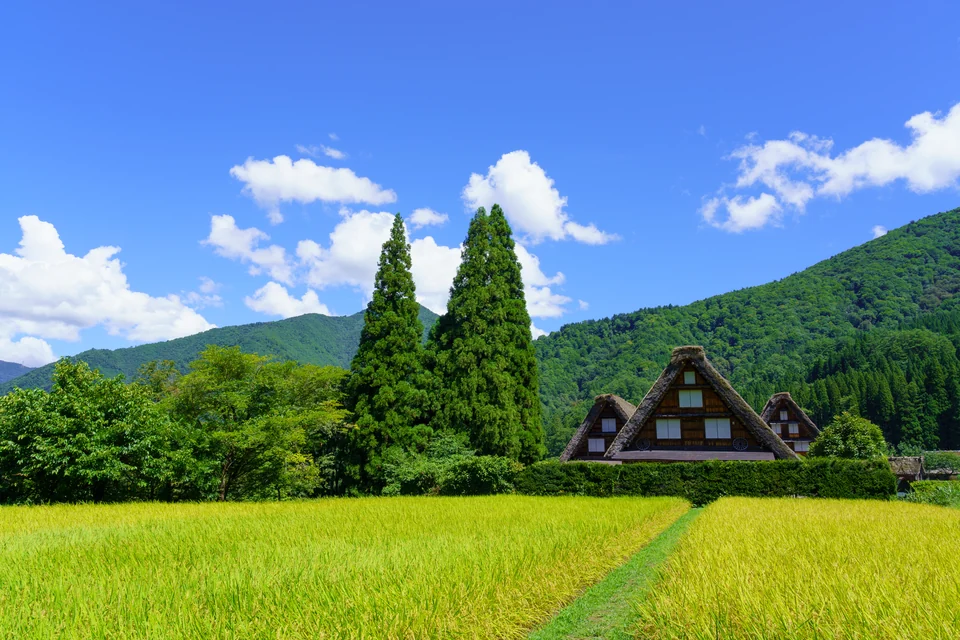 白川郷（三つ子の合掌造り）