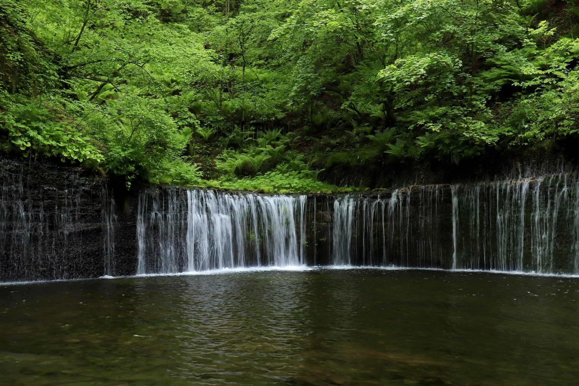 緑に囲まれた岩肌から幾筋もの水が落ちる軽井沢の白糸の滝