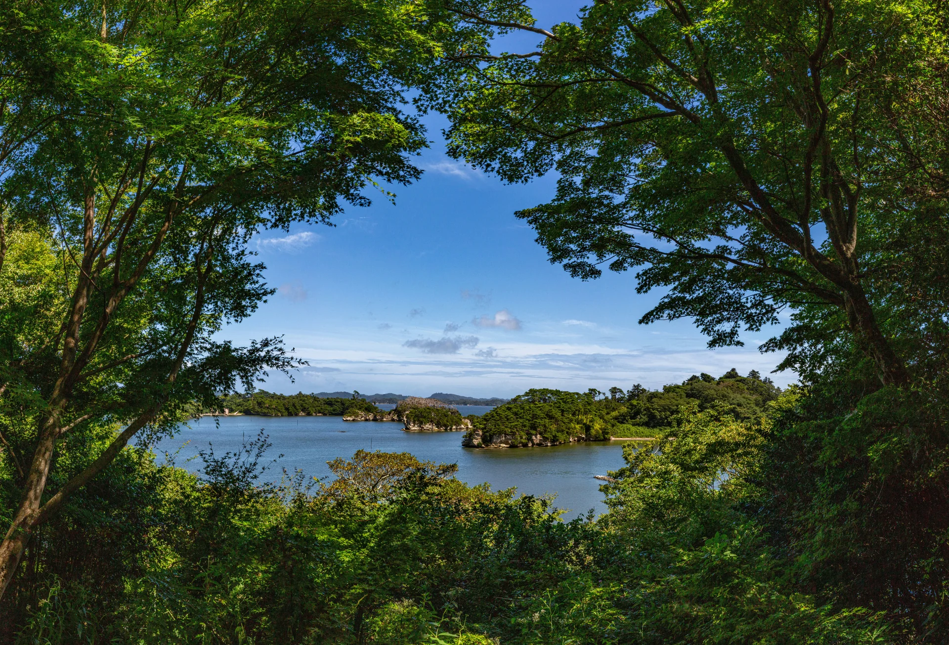 木々の間から松島湾の水面と島々を眺める風景
