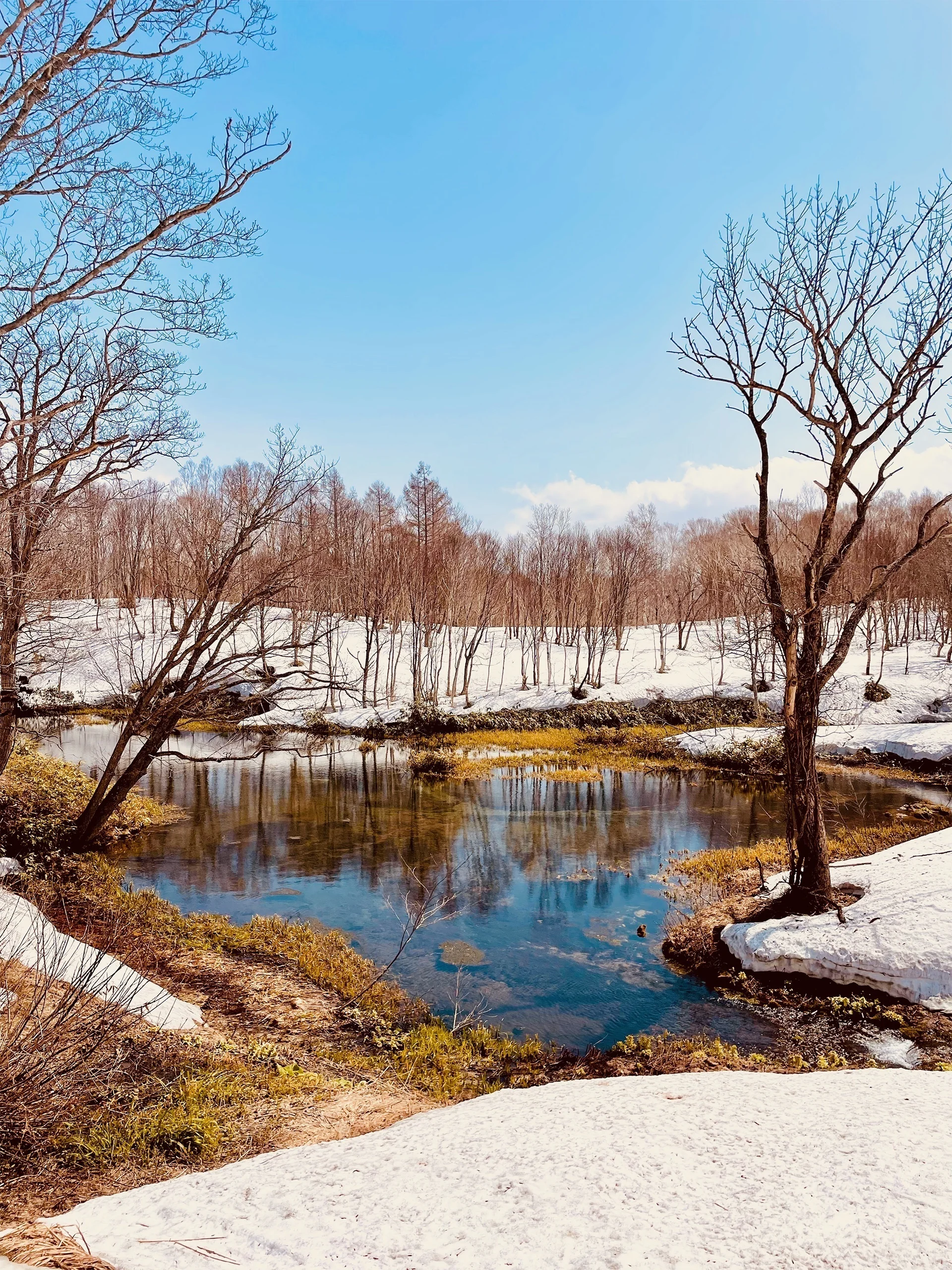 ニセコ町の山麓に広がる風景