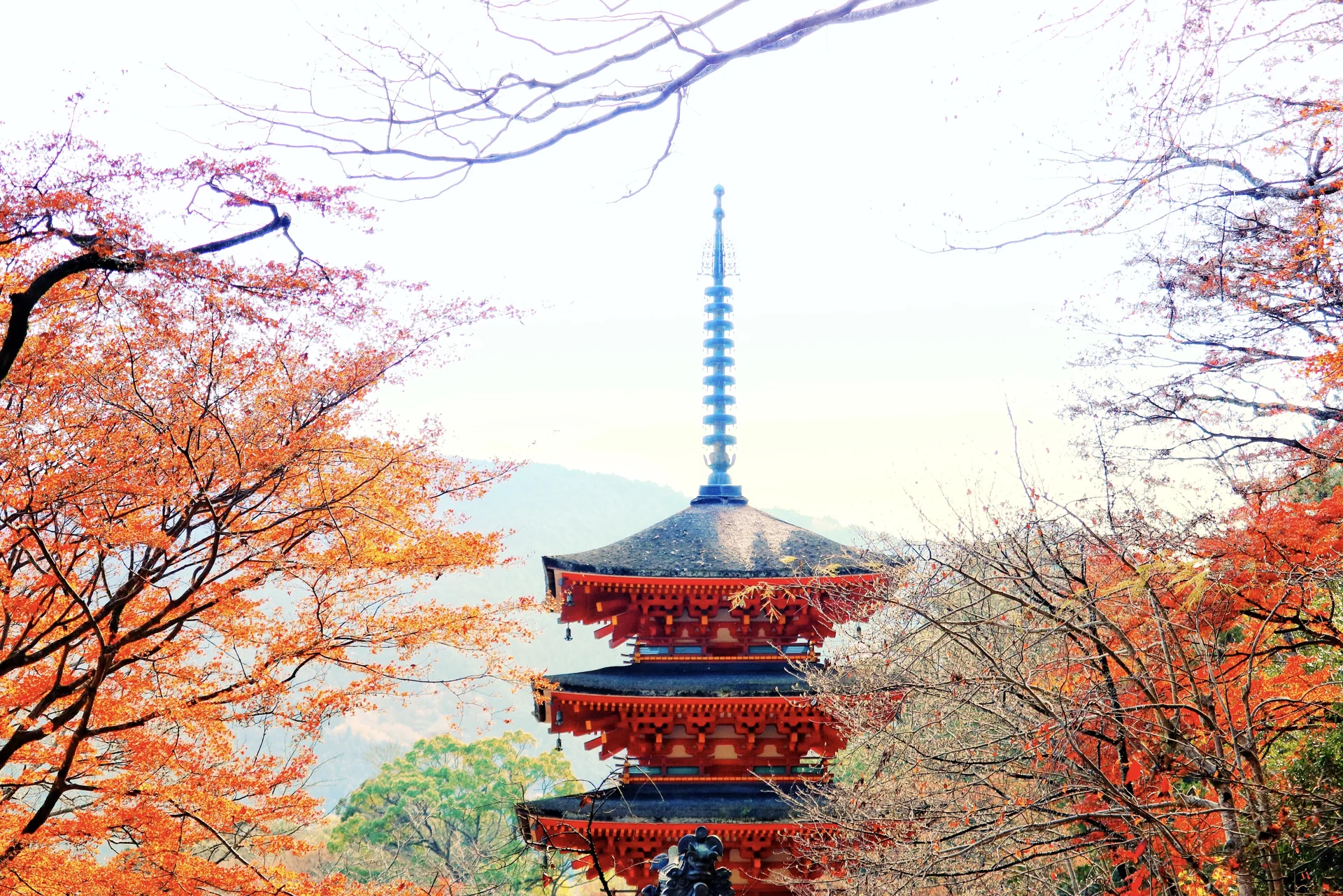 長谷寺
