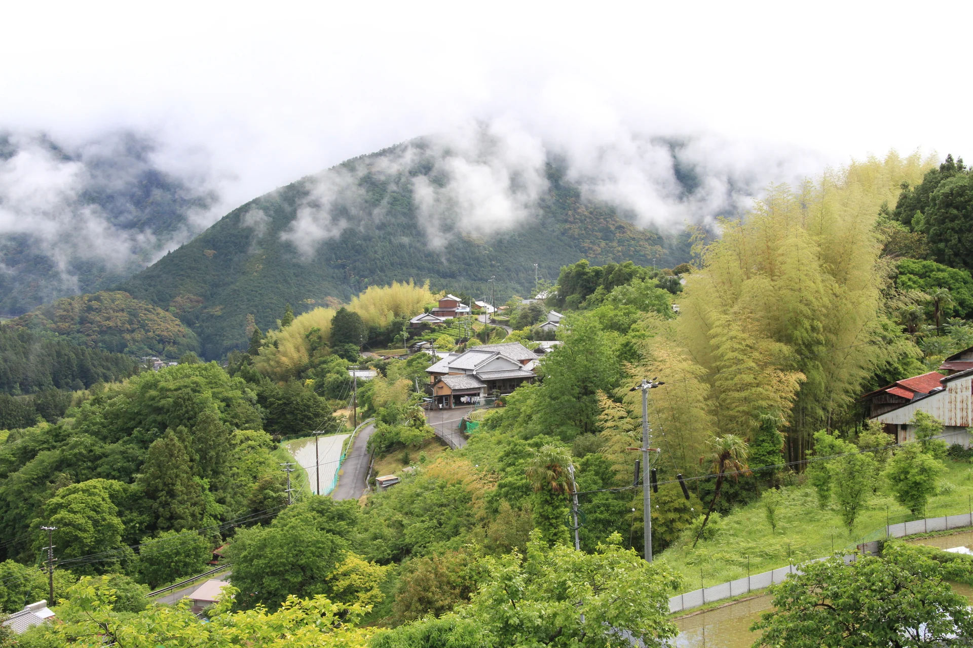 熊野古道（和歌山）