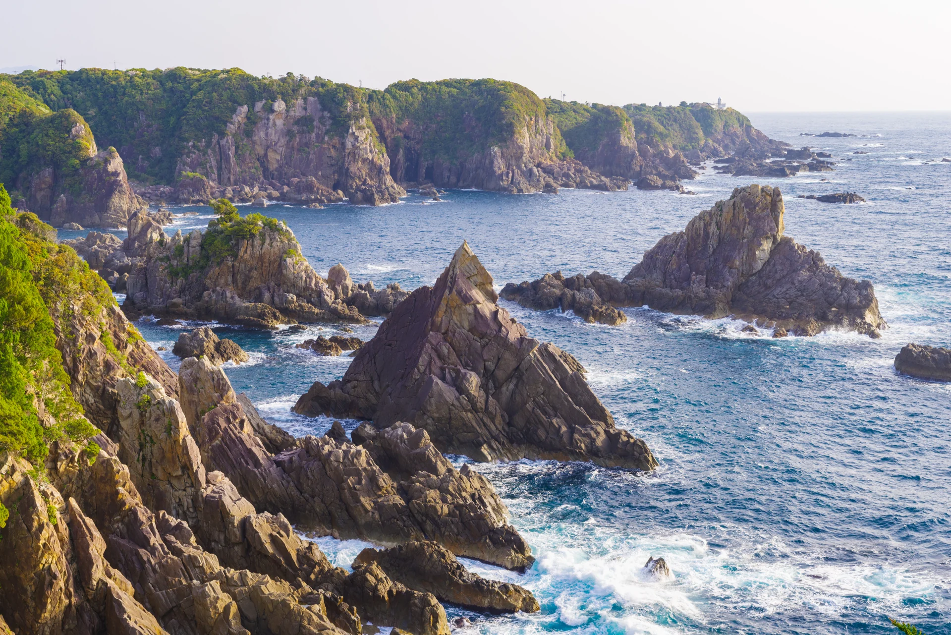 海金剛