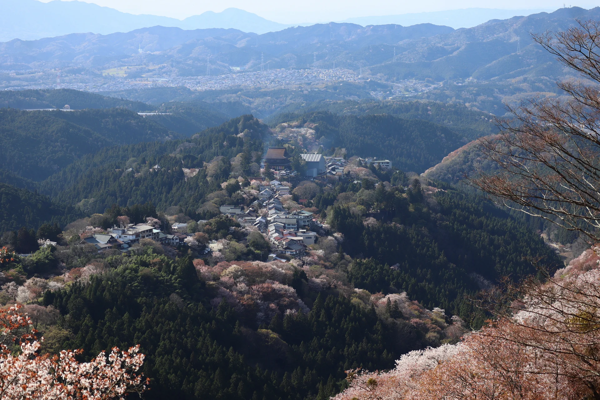 吉野山
