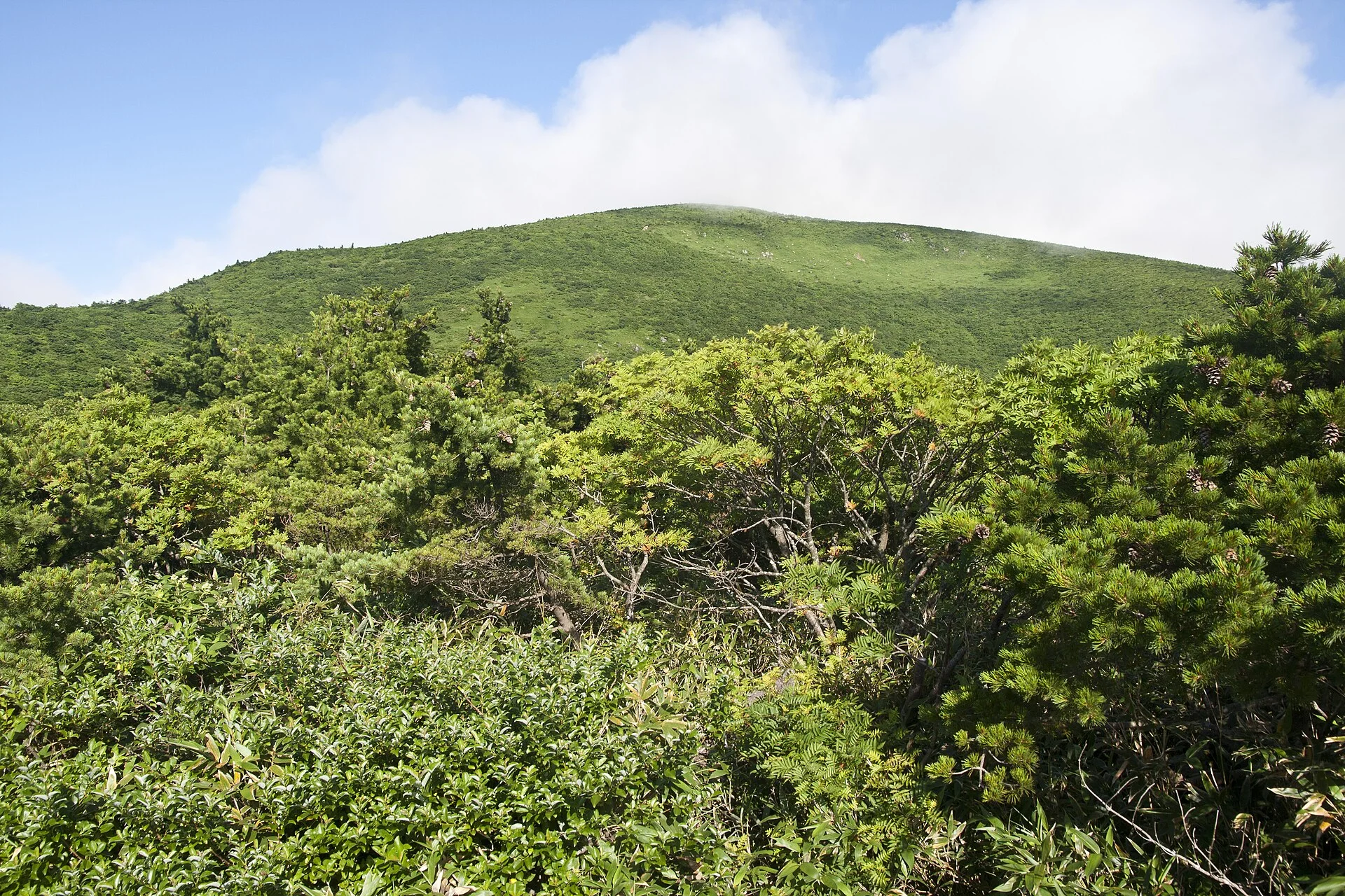 岳温泉の背後に広がる安達太良山の緑