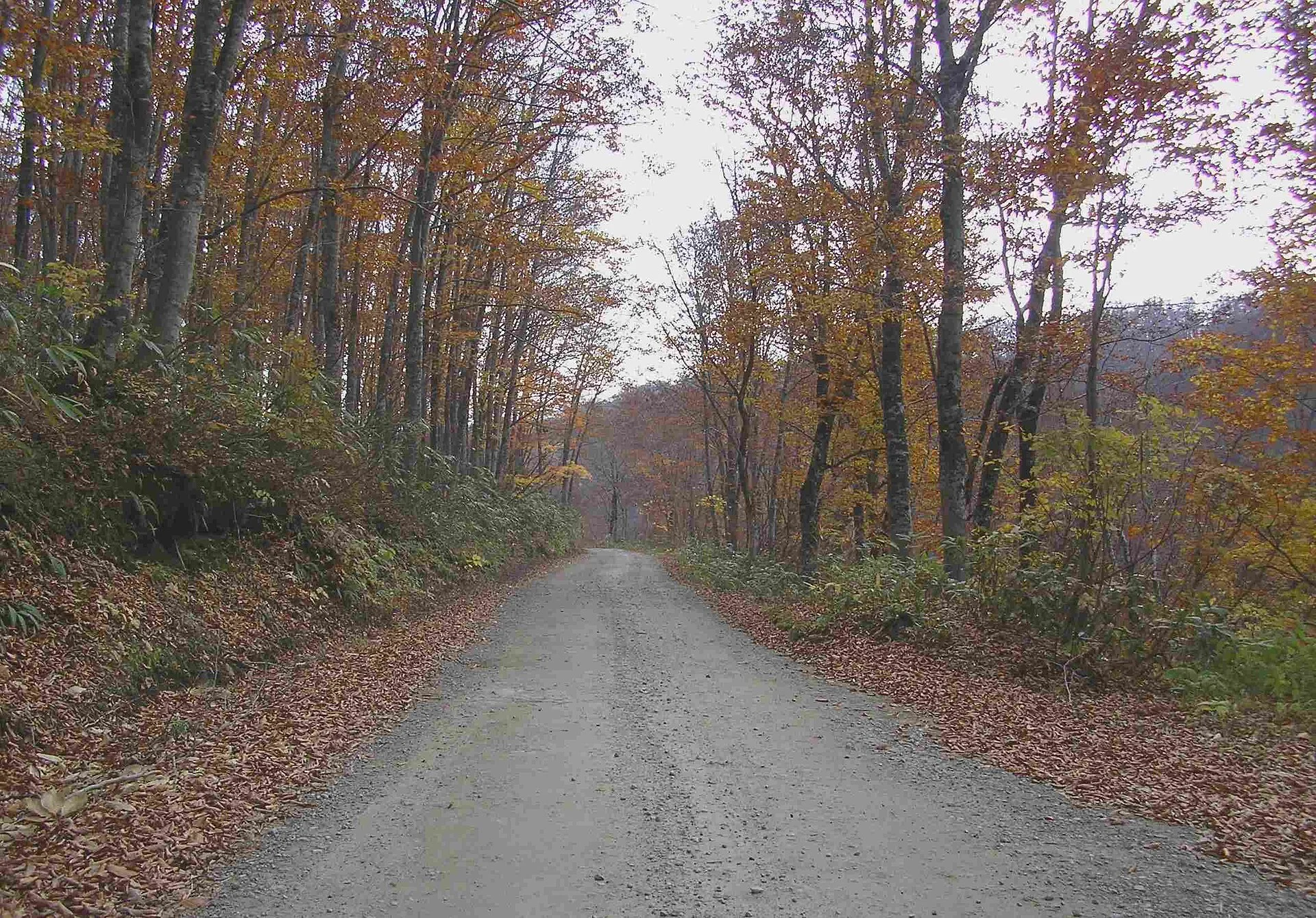 肘折温泉から十部一峠へ向かう秋の道