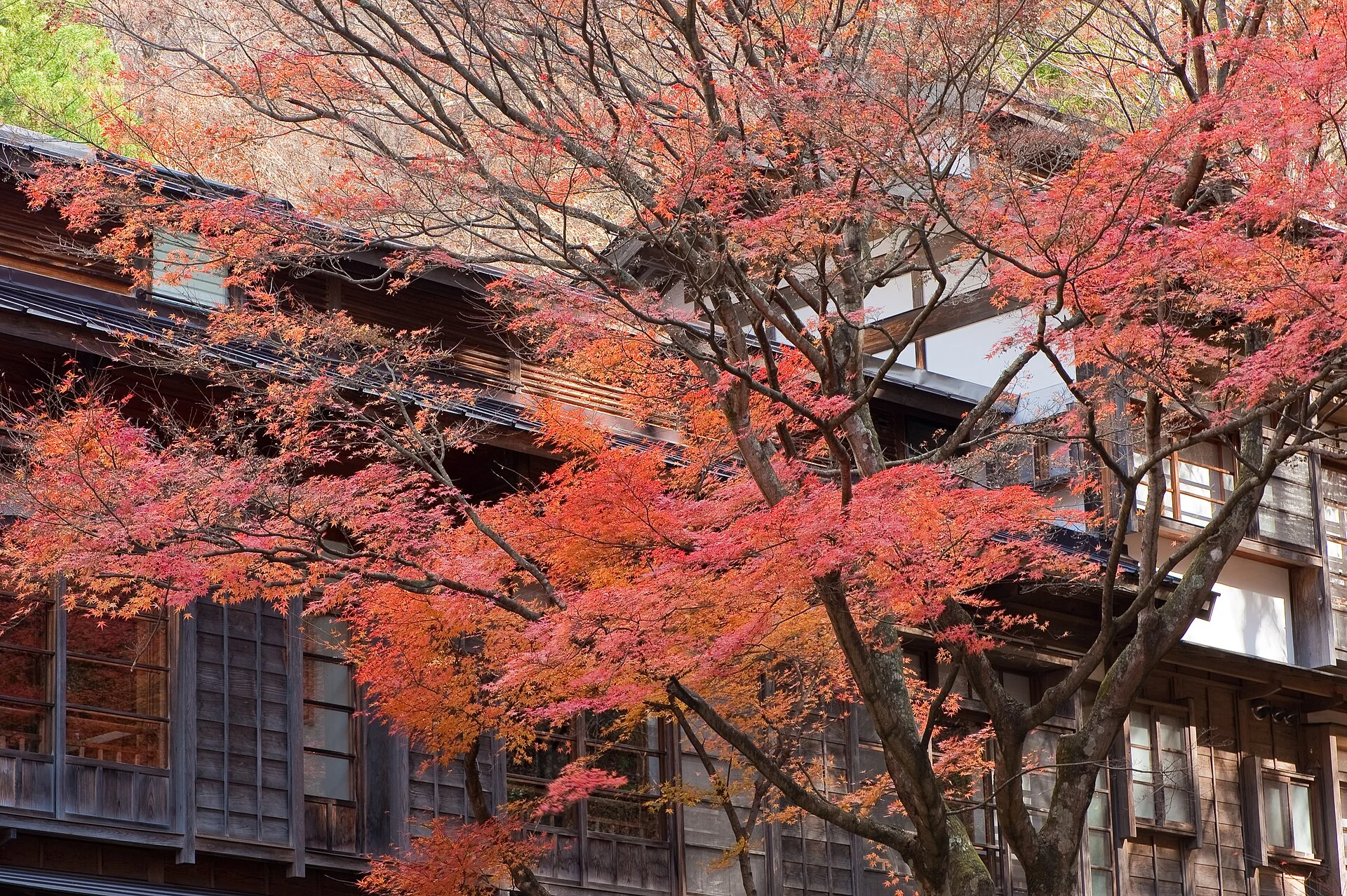 法師温泉・紅葉に包まれた湯宿