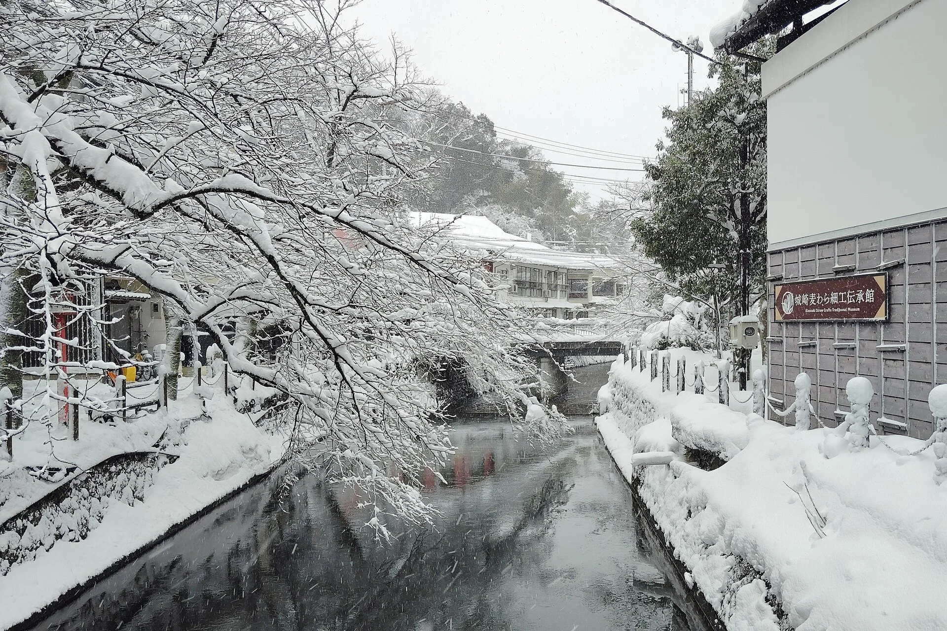 城崎温泉・雪をまとった大谿川