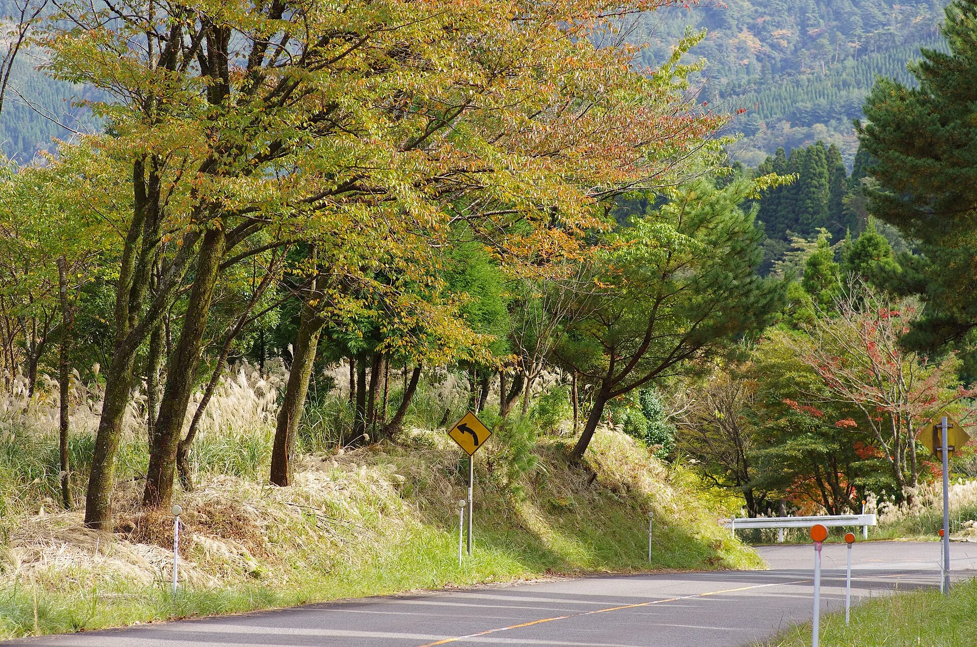 えびの市原田・山麓の道と秋の木々