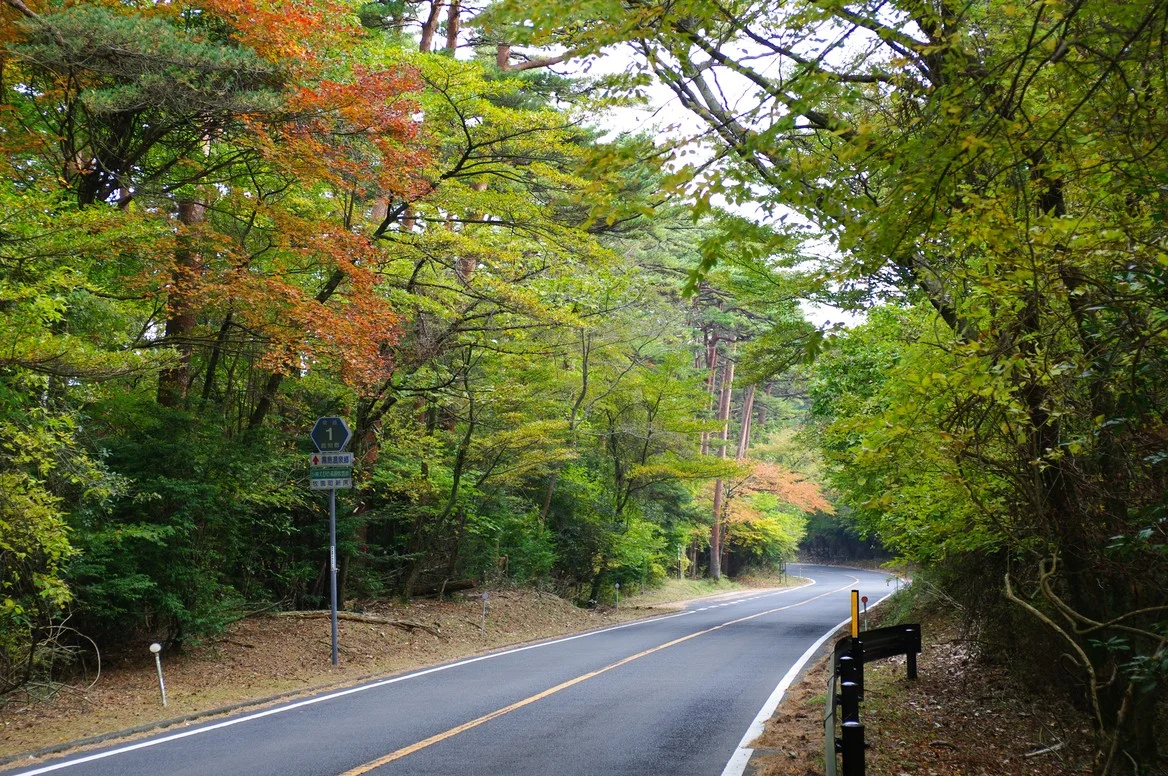 霧島市牧園町新床地区・紅葉の道