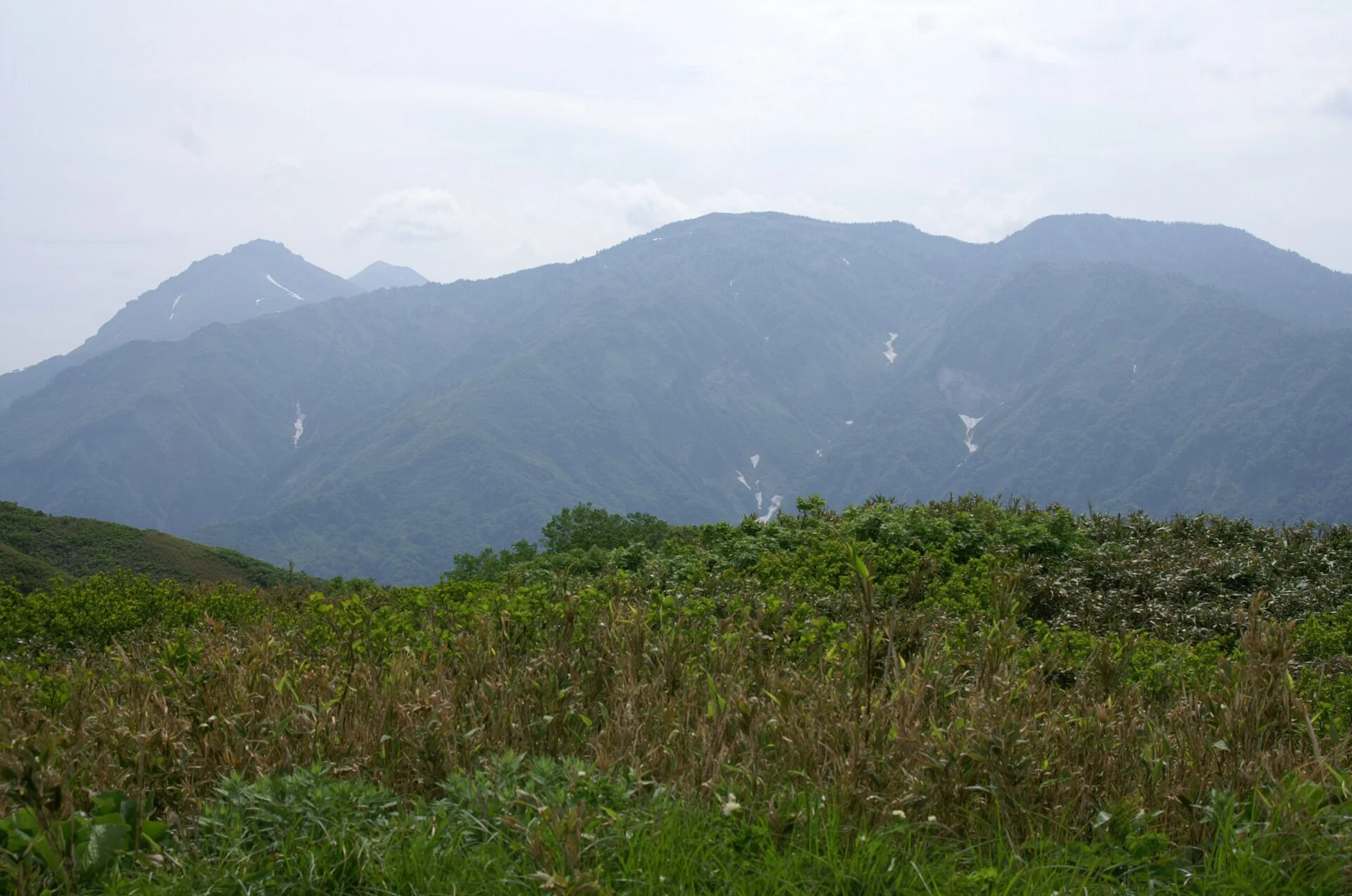 雨飾山から東側の金山を望む