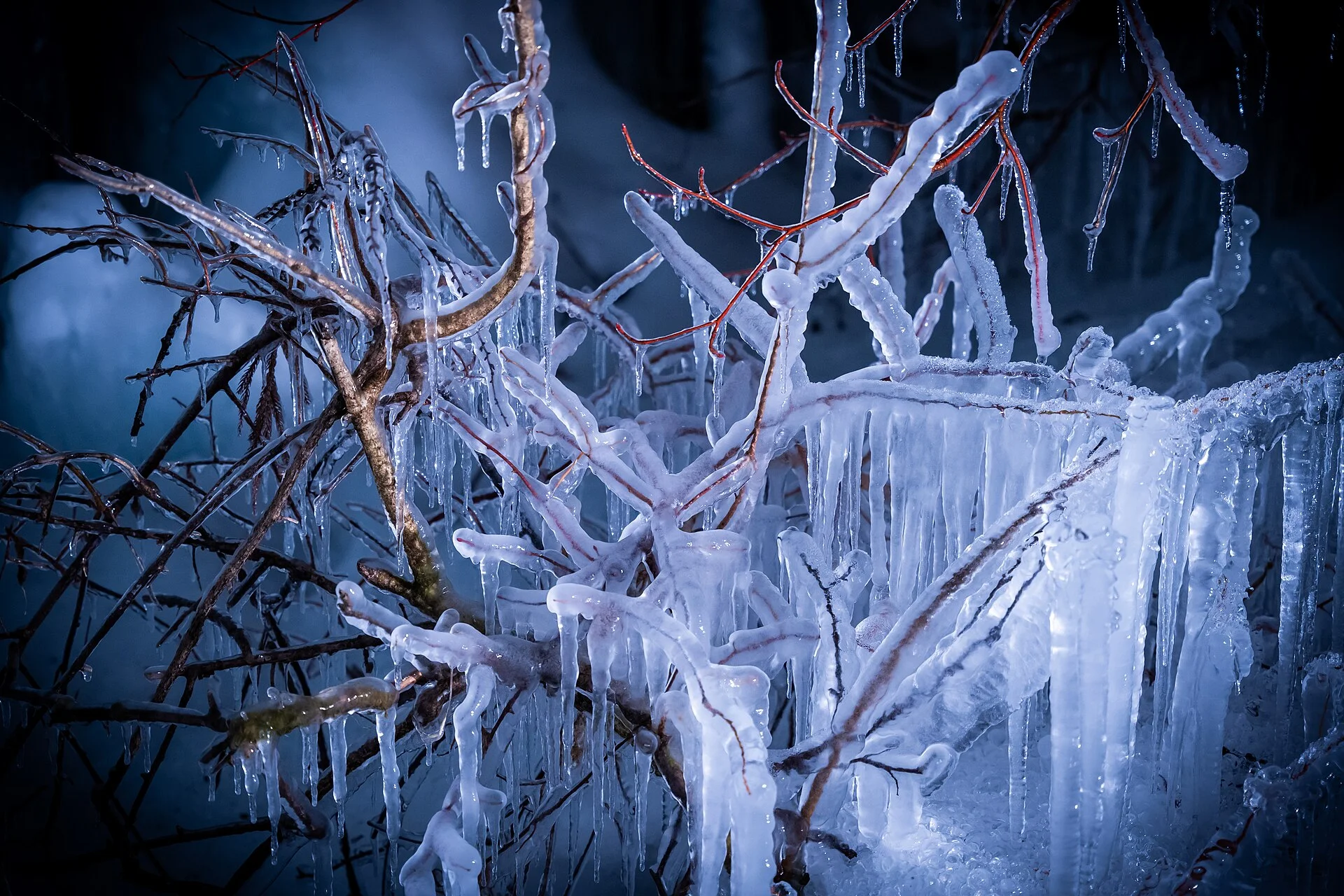 奥飛騨・青く照らされた氷の枝