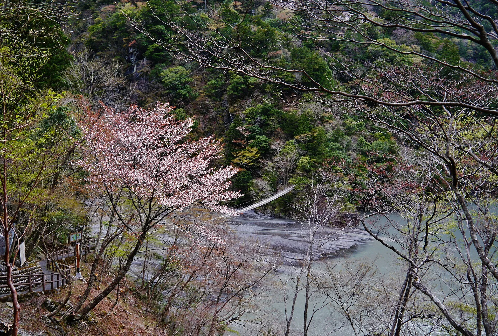 寸又峡・湖面の上を渡る夢のつり橋