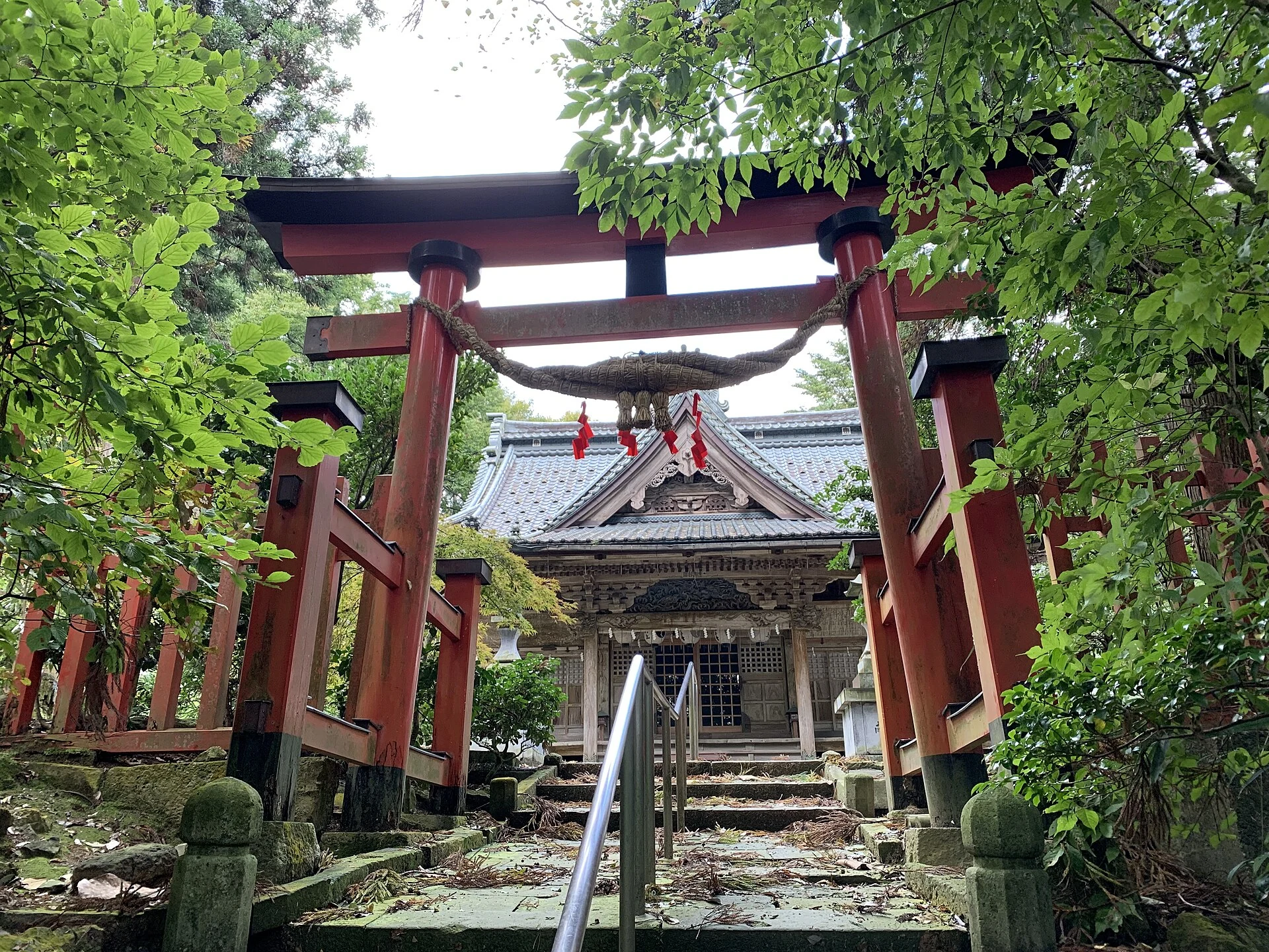 瀬波周辺
