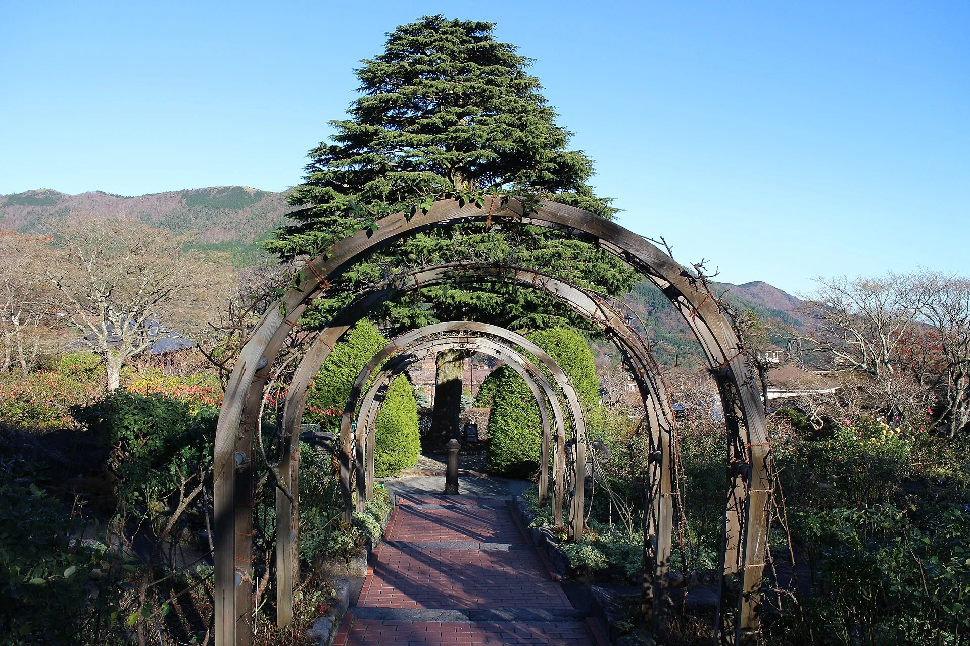 強羅公園