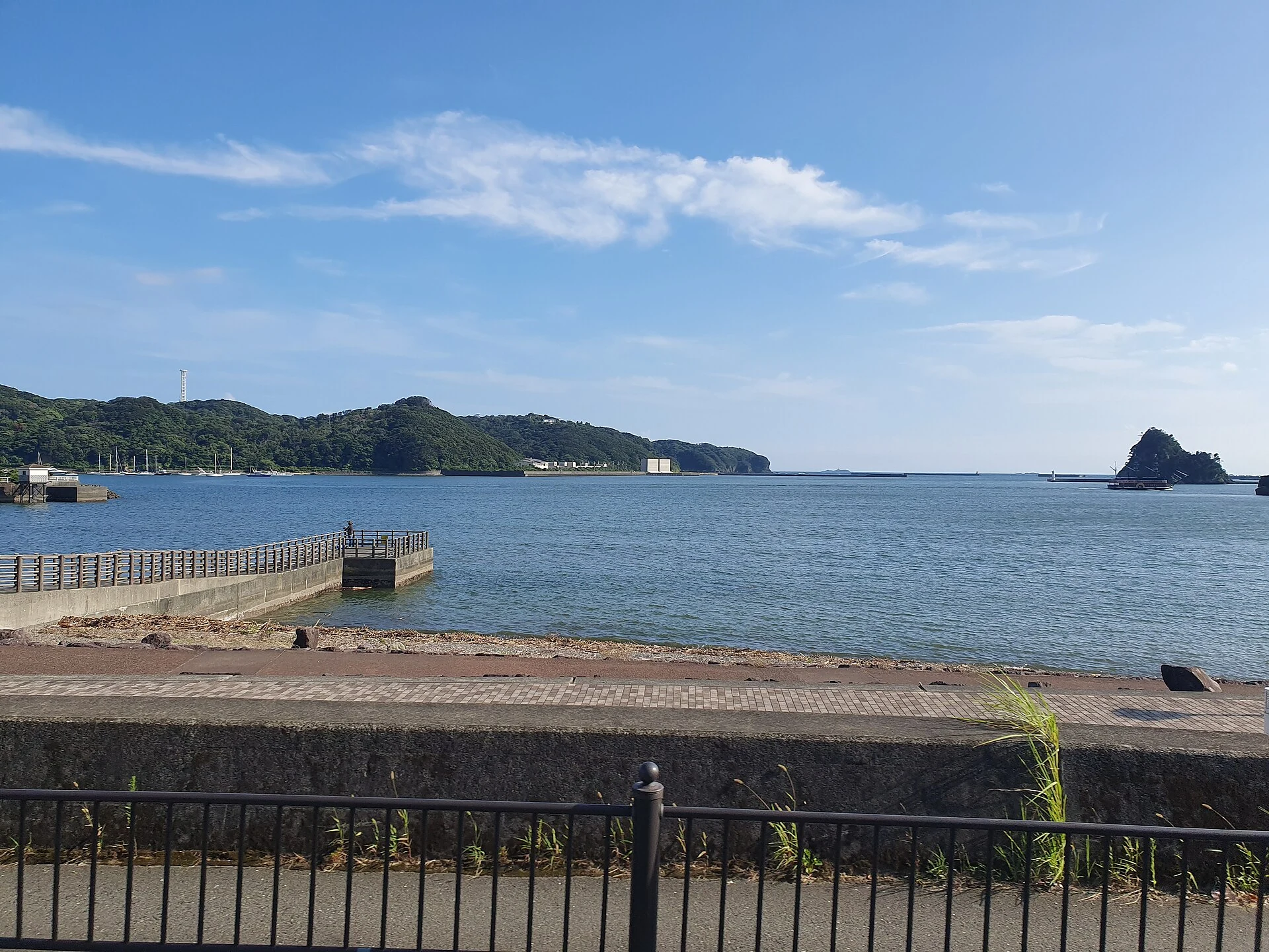 下田の海と町