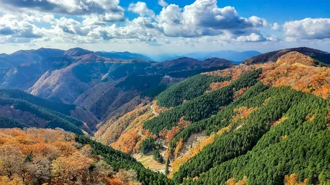 和歌山県田辺市龍神村・ごまさんスカイタワーから望む山並み