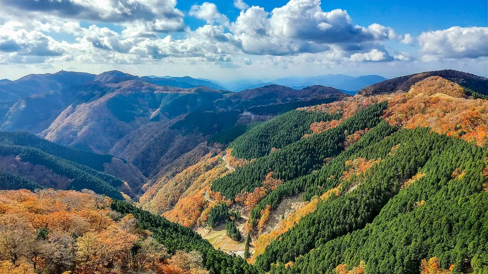 龍神の山里