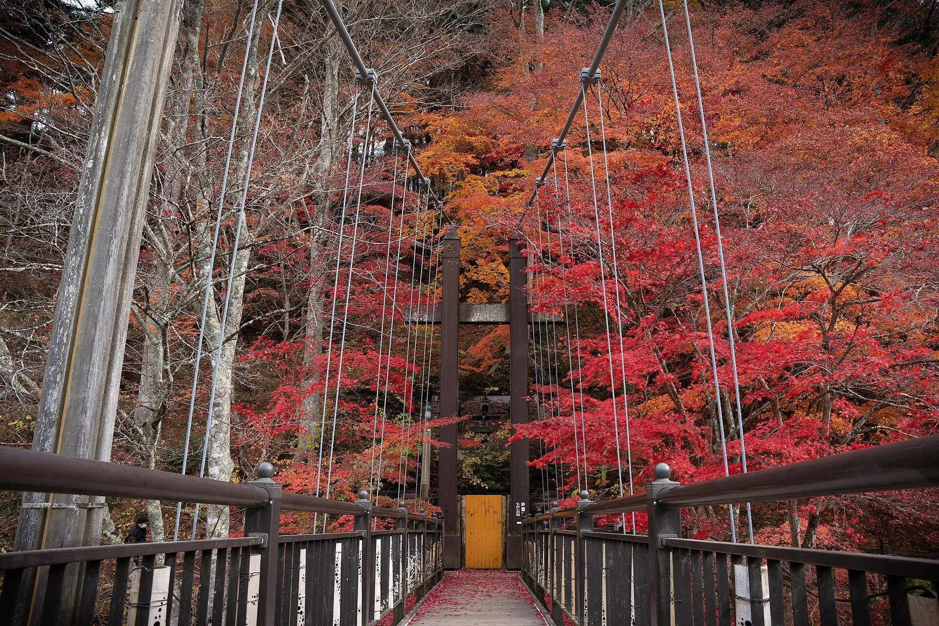 旅の途中で出会う風景