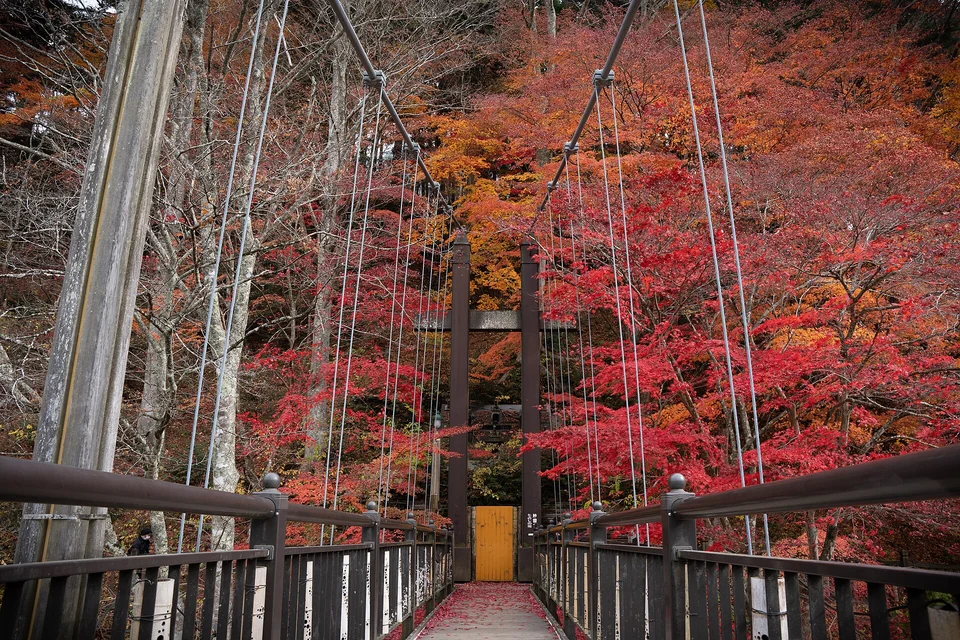 旅の途中で出会う風景
