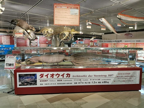 旅の途中で出会う風景