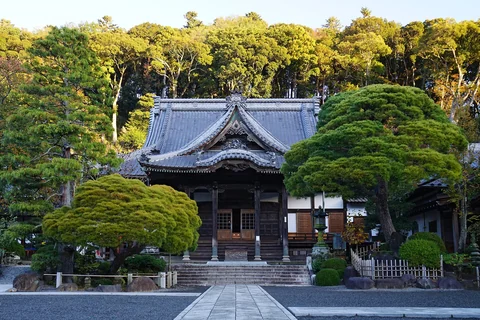修善寺周辺
