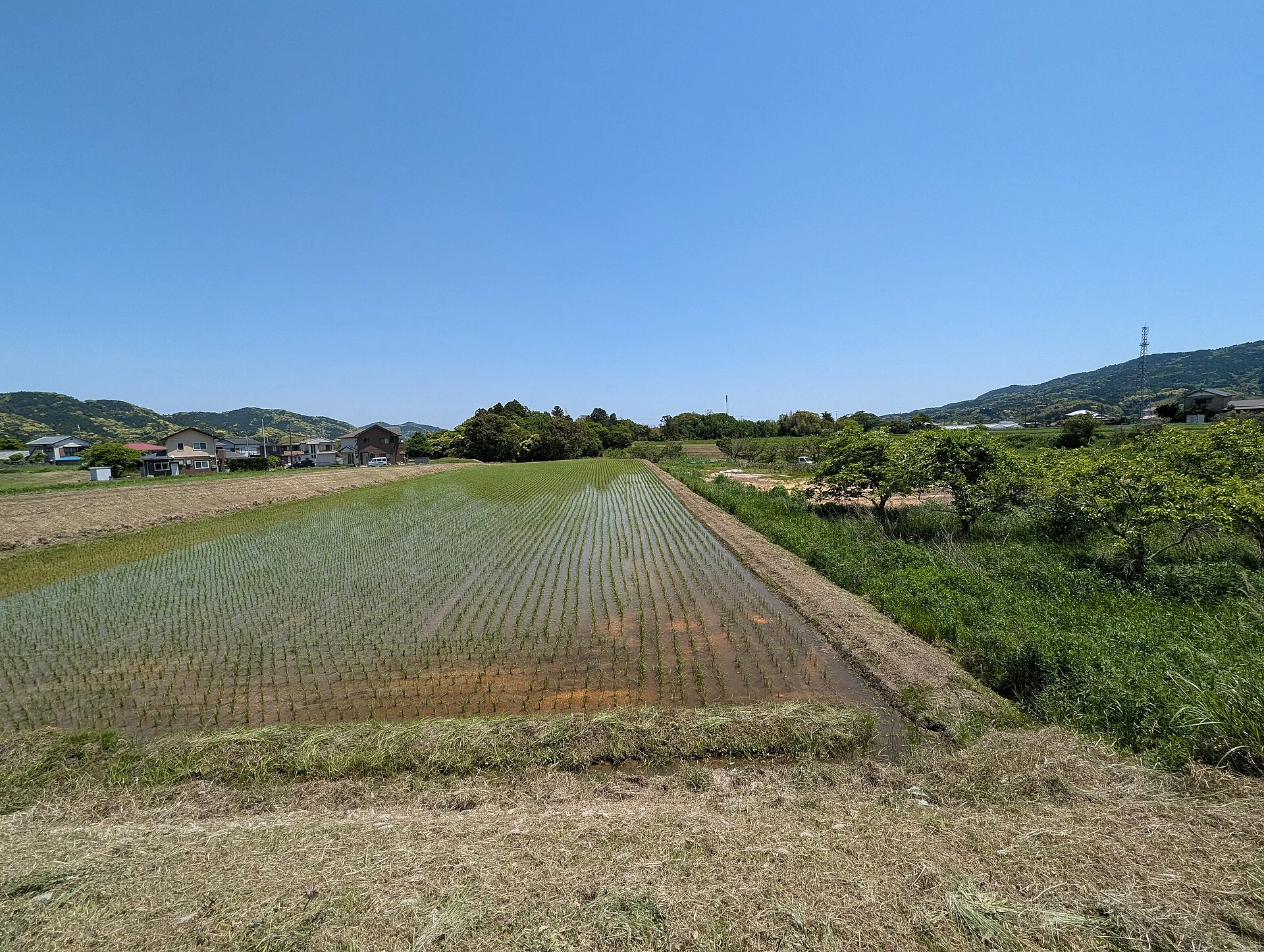 鴨川周辺
