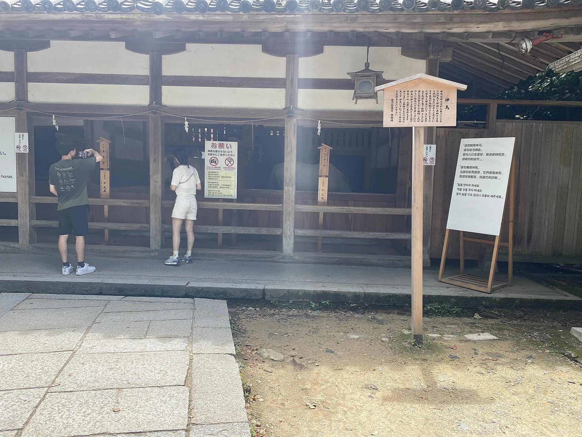 琴平の町