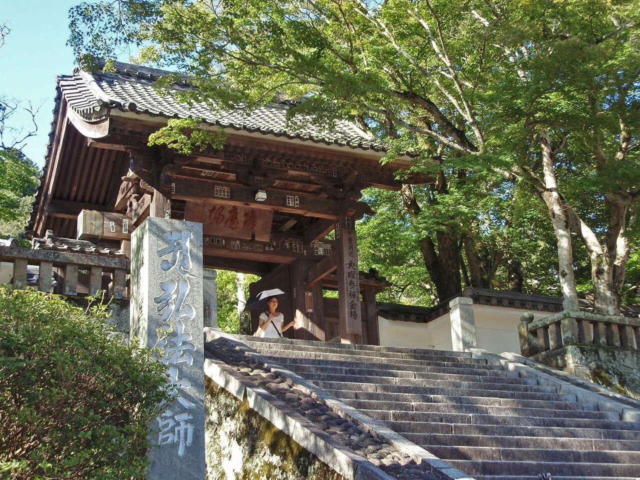修善寺周辺