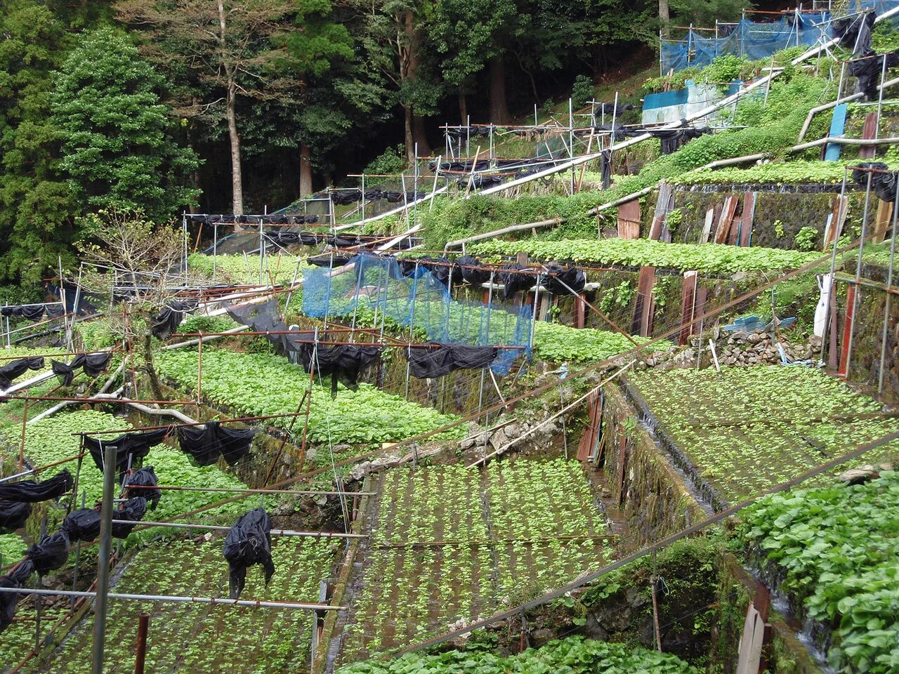 旅の途中で出会う風景