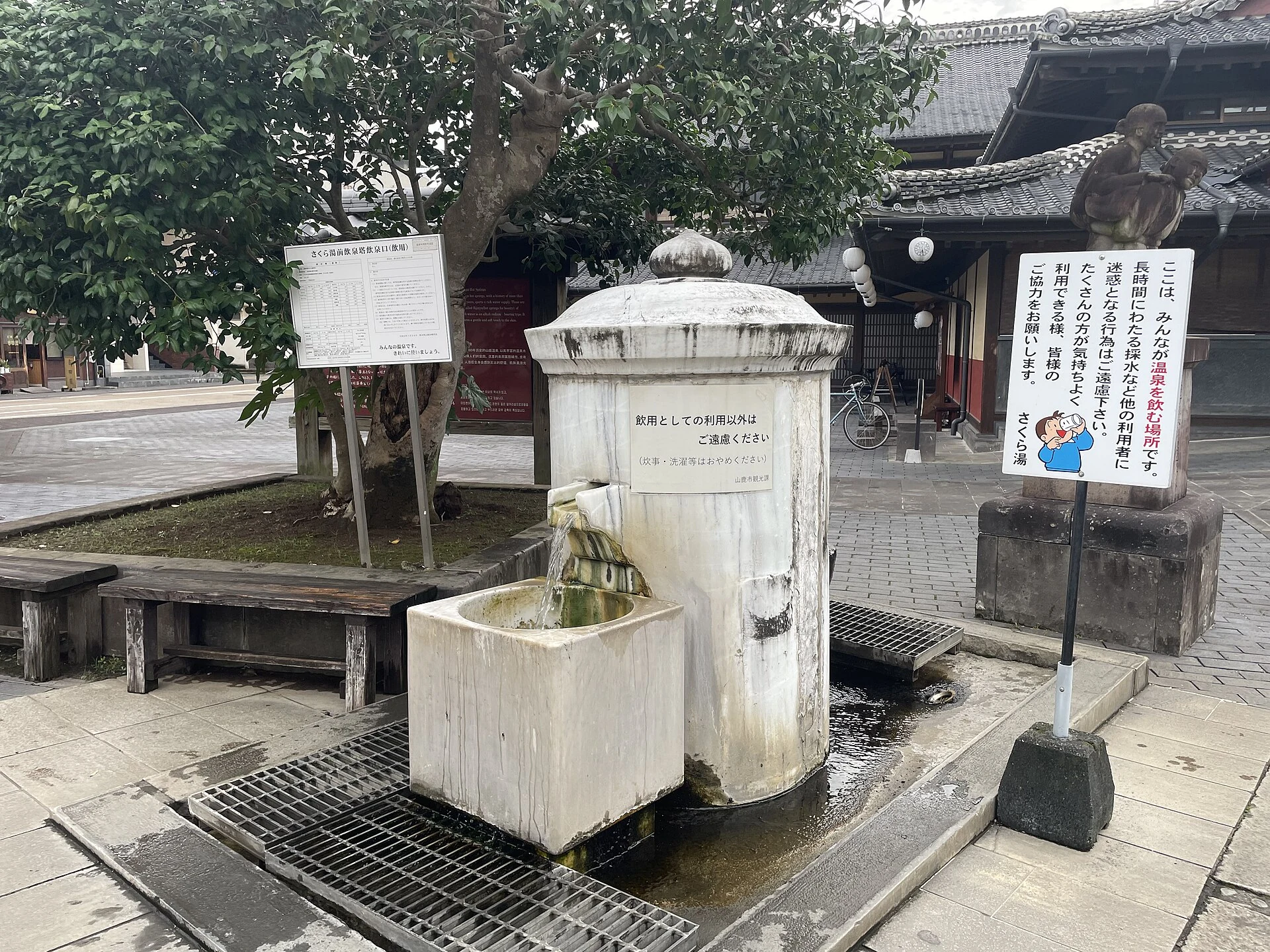 山鹿周辺