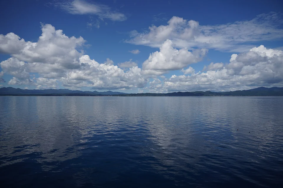 陸奥湾