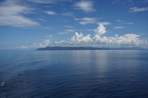 陸奥湾