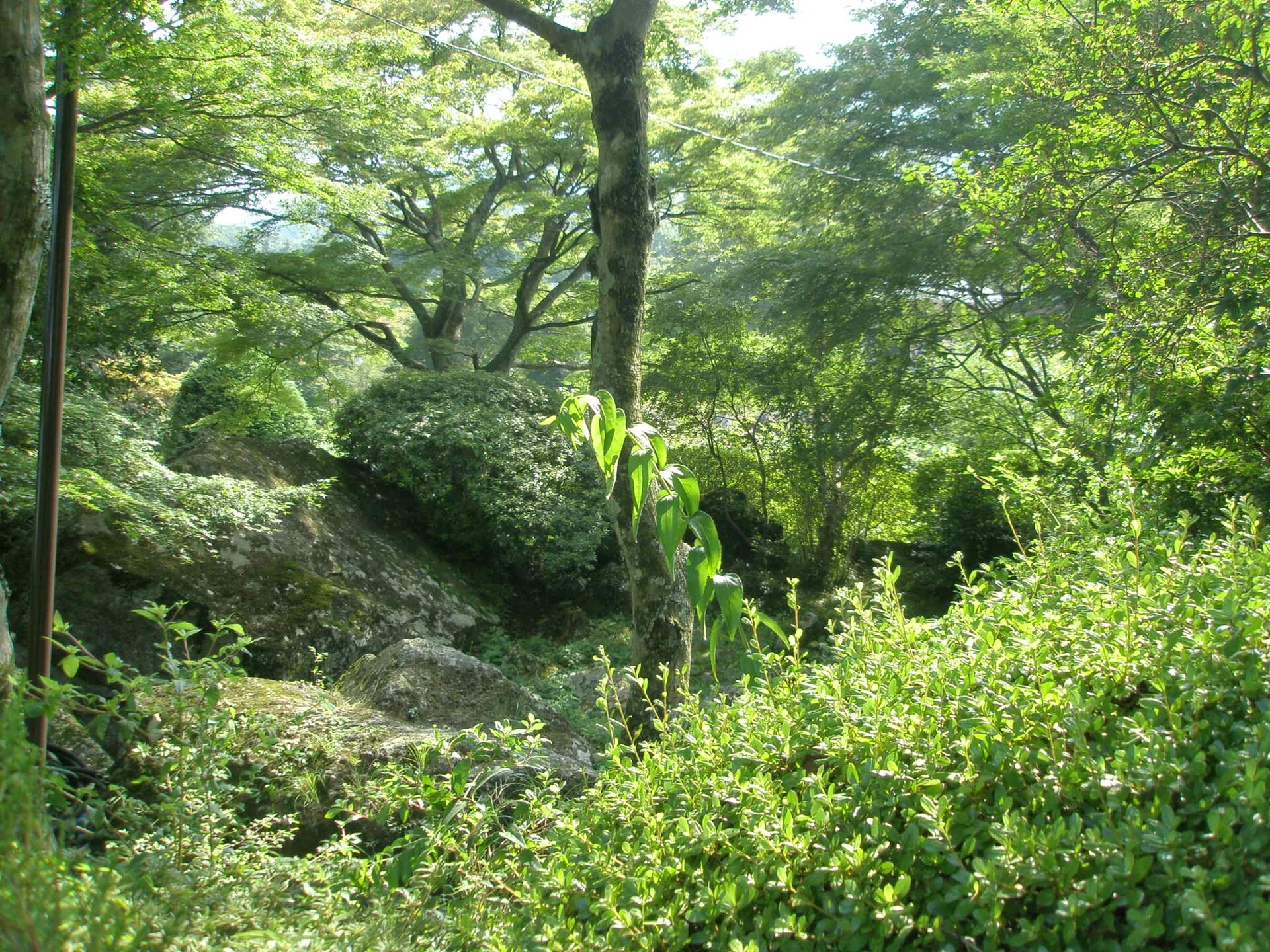 旅の途中で出会う風景