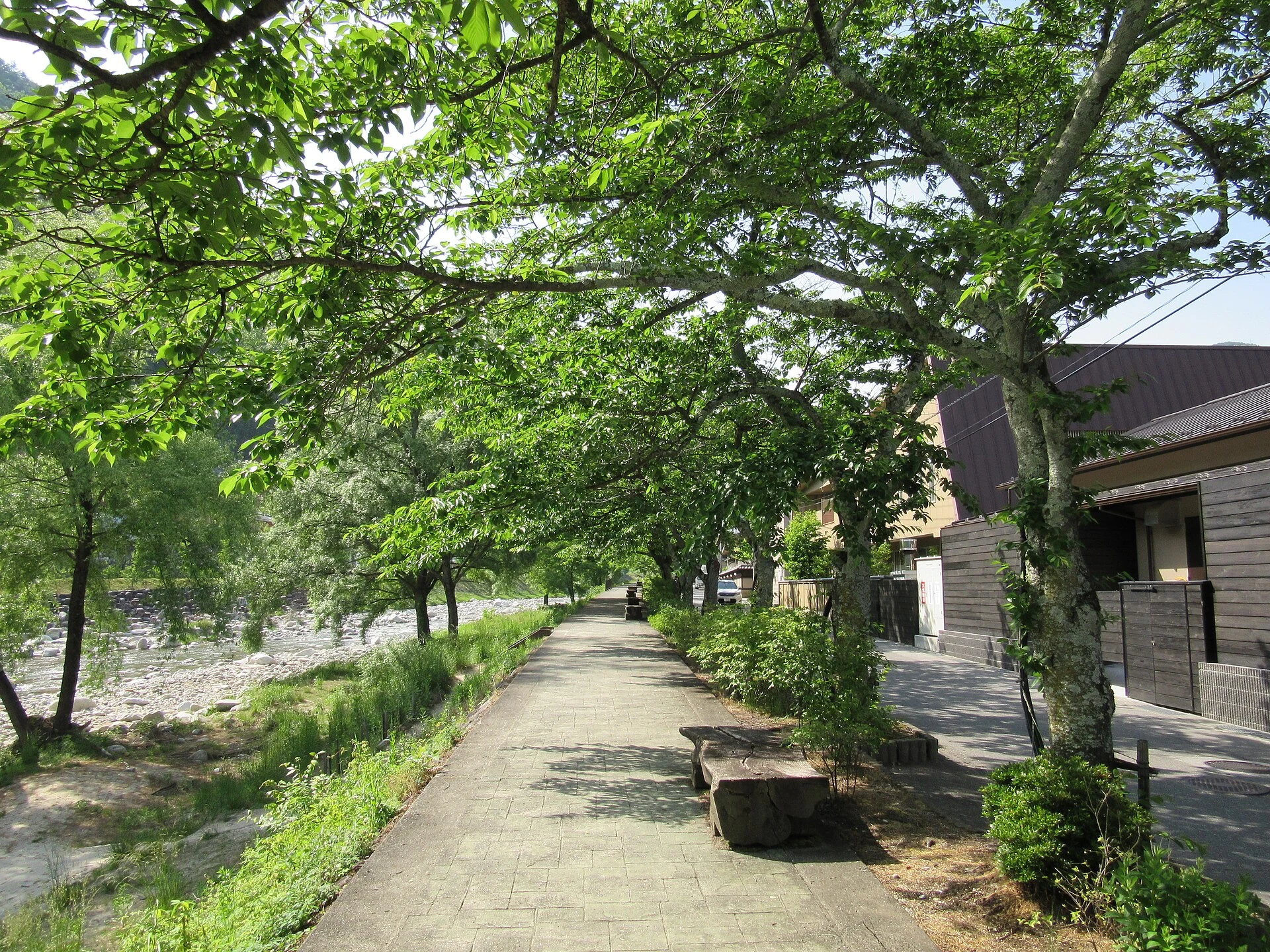 阿智川