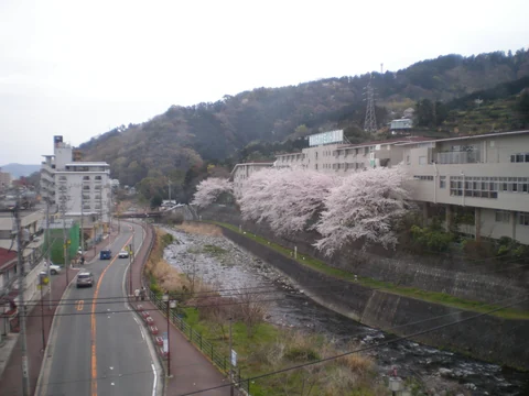 湯河原周辺