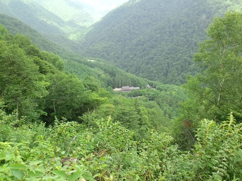 白骨周辺