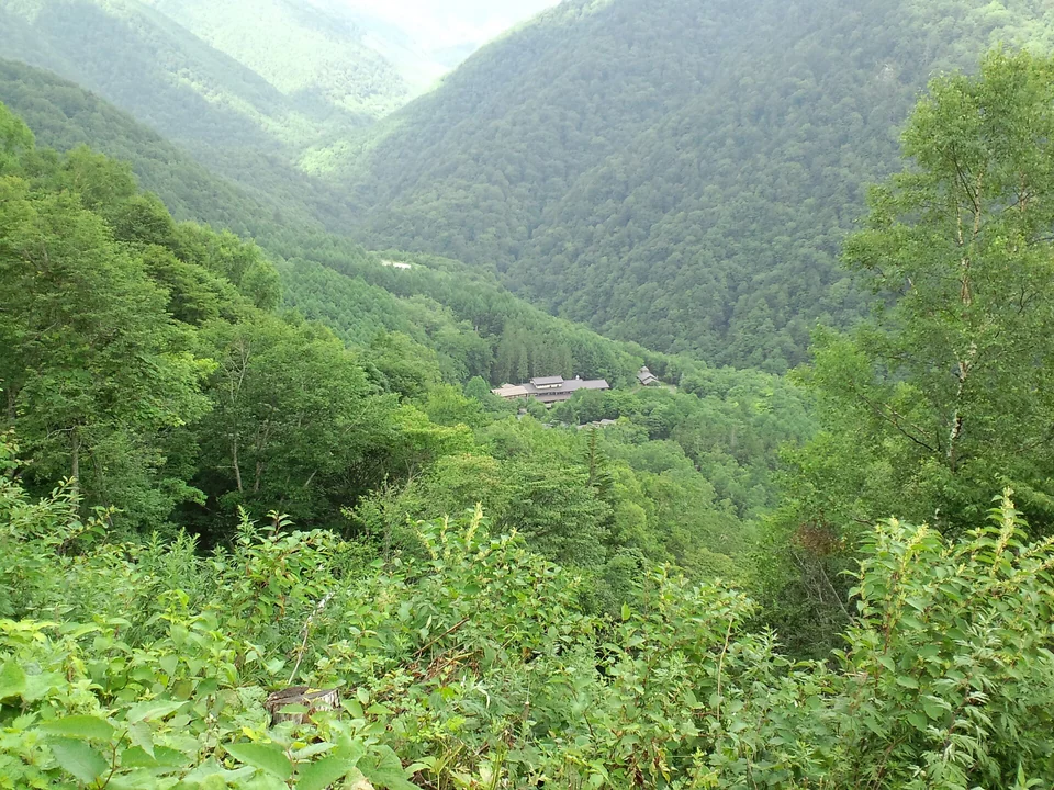白骨周辺