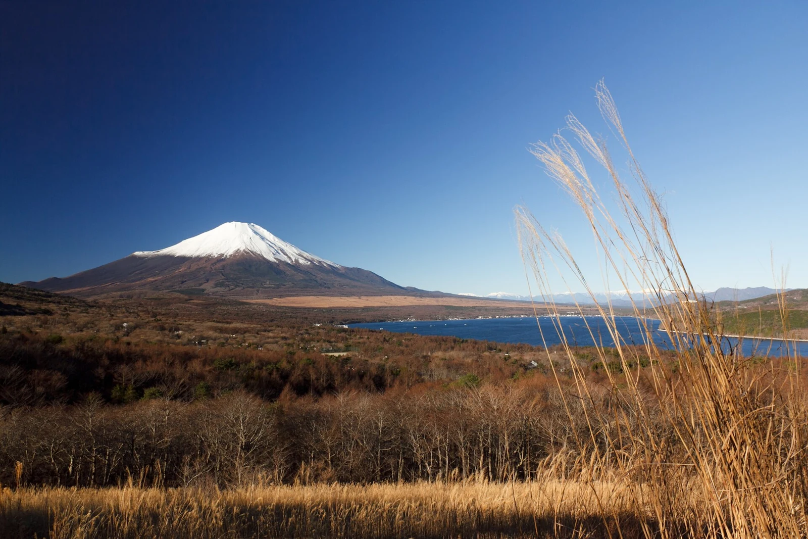 富士山と山中湖