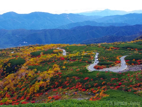 紅葉の乗鞍エコーライン（長野県）