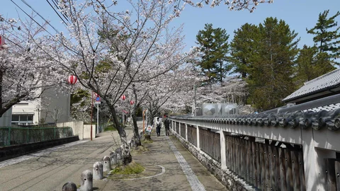 伊賀上野城