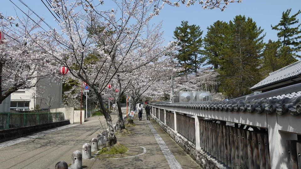 伊賀上野城