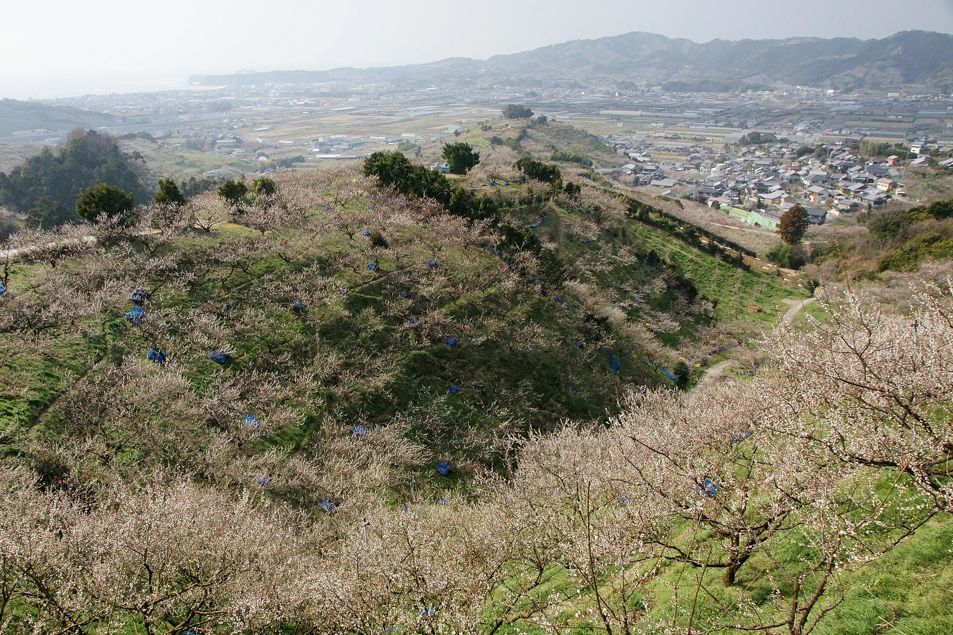みなべ周辺