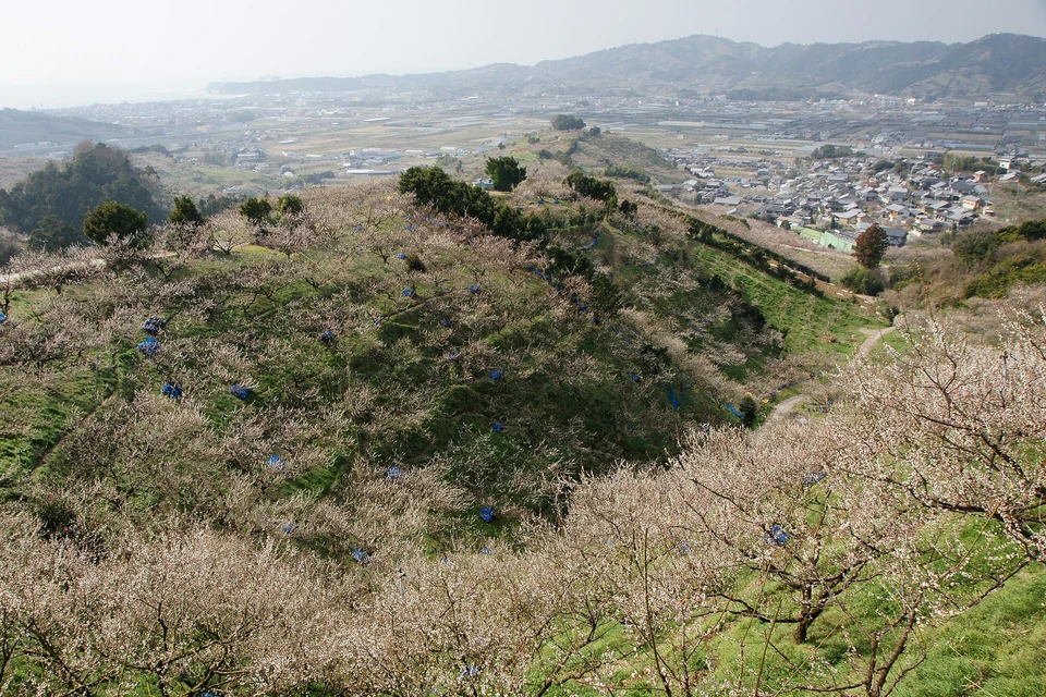 みなべ周辺