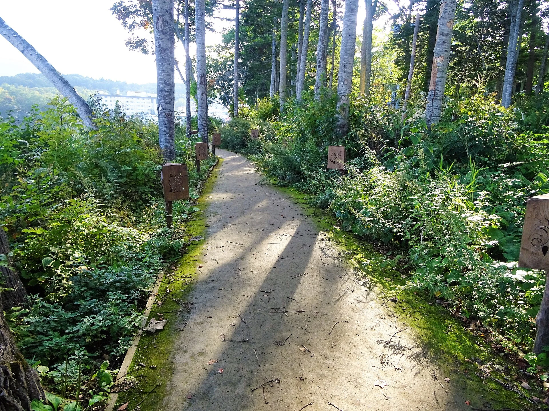 阿寒湖